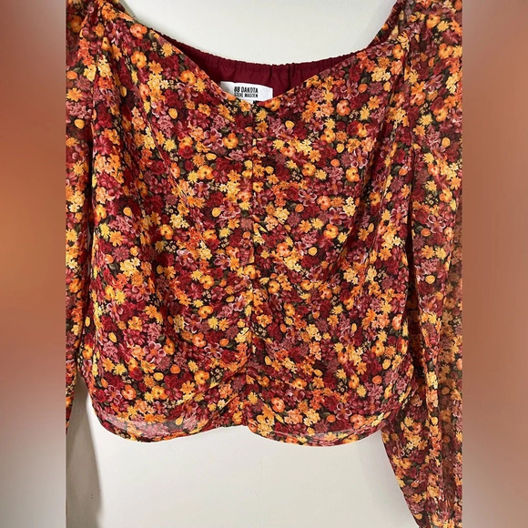 Sheer Long‎ Sleeve Floral Cropped Top - Picture 3 of 6
